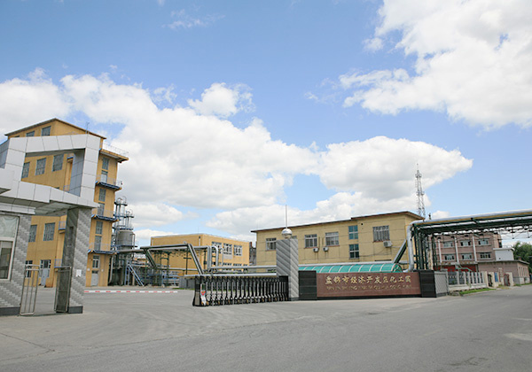 集團化工園區(qū)